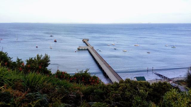 Long timber Flinders pier stretching into Western Port with moored boats, seen from the headland